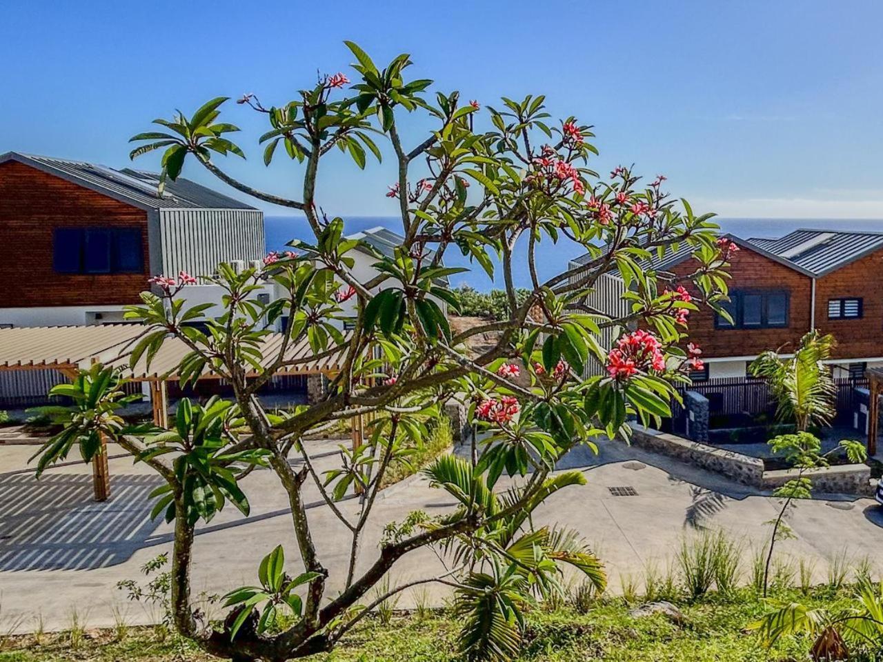 Petite Île Le Reve Bleu Grand Anse 아파트 외부 사진