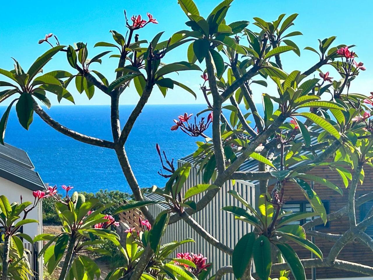 Petite Île Le Reve Bleu Grand Anse 아파트 외부 사진